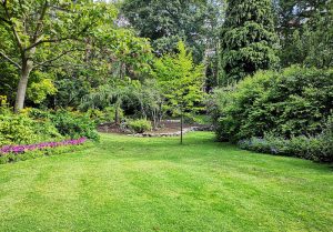 Optimiser l'expérience du jardin à Louroux-Hodement